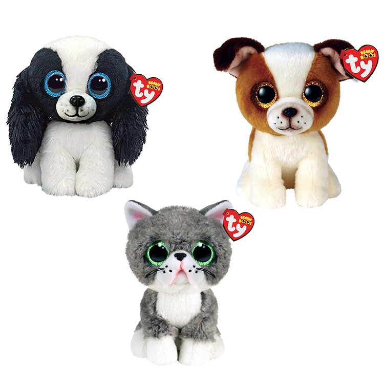 Road Trip Rascals Bundle - US 2475