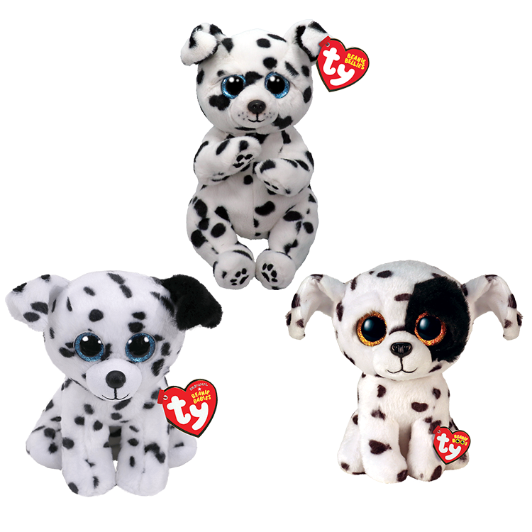 Dalmatian Bundle - US 8574