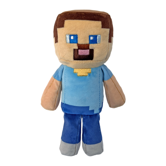 Steve - US 9573