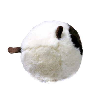Sammy - US 3853