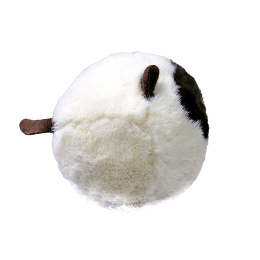 Sammy - US 3853